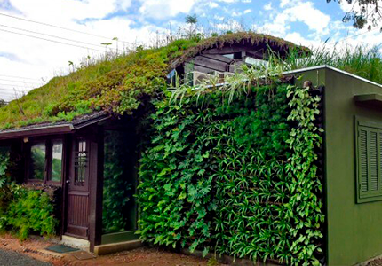 Fotografia de casa utilizando a flora da região, com telhado verde e jardins verticais