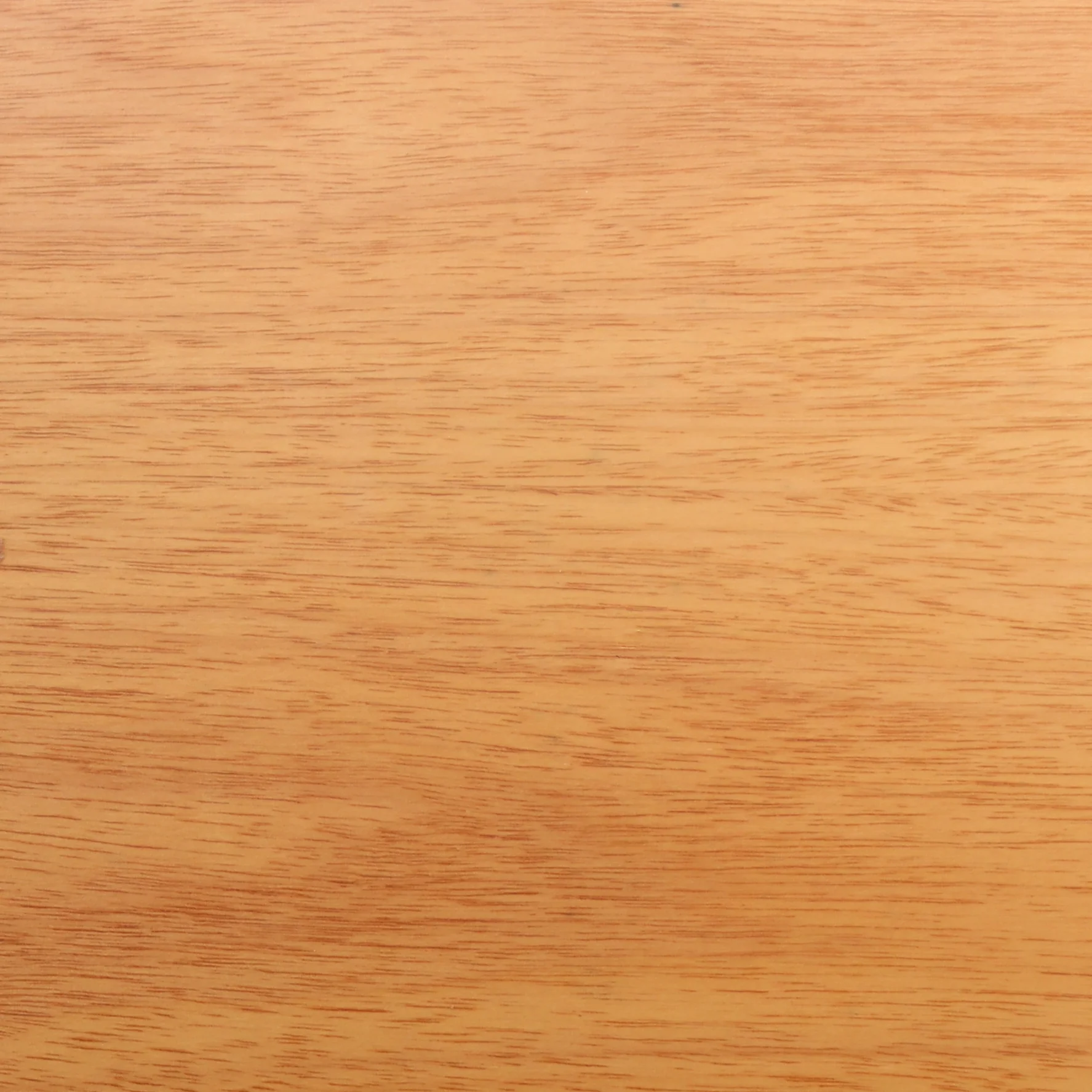 Masterteto Tauari Clear